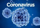 24 ಗಂಟೆಗಳಲ್ಲಿ ದೇಶದ 636 ಜನರಿಗೆ ಕೊರೊನಾ ದೃಢ - 3 ಮಂದಿ ಸಾವು