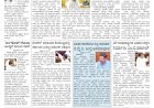 Pratyaksha Nadu E-Paper 18-12-2024