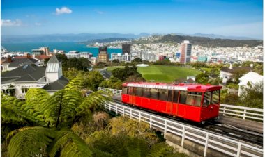 ಮಾರಕ ಕೊರೊನಾ ಸೋಂಕಿನಿಂದ ನ್ಯೂಜಿಲೆಂಡ್ ಮುಕ್ತ: ಎಲ್ಲ ನಿರ್ಬಂಧಗಳನ್ನು ರದ್ದುಗೊಳಿಸಿದ ಸರ್ಕಾರ