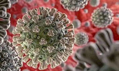 ದೇಶದಲ್ಲಿ 24ಗಂಟೆಯಲ್ಲಿ 16,326 ಹೊಸ ಕೊರೊನಾ ಕೇಸ್ ಪತ್ತೆ; 666 ಮಂದಿ ಸಾವು