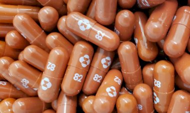 ಕೊರೊನಾ ಸೋಂಕಿತರಿಗೆ  ಮೆರ್ಕ್ ಮಾತ್ರೆ ಓಕೆ