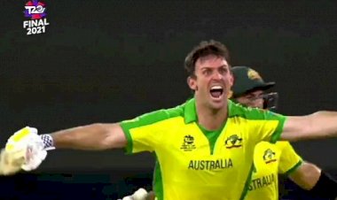 T20 WC Final Match: ವಾರ್ನರ್, ಮಾರ್ಷ್ ಅಬ್ಬರದ ಅರ್ಧಶತಕ- ಚೊಚ್ಚಲ ಟಿ20 ವಿಶ್ವಕಪ್ ಟ್ರೋಫಿಗೆ ಮುತ್ತಿಟ್ಟ ಆಸೀಸ್