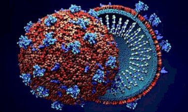 ದ.ಆಫ್ರಿಕಾದಿಂದ ಬೆಂಗಳೂರಿಗೆ ಬಂದ ಇಬ್ಬರಿಗೆ ಕೋವಿಡ್ ದೃಢ