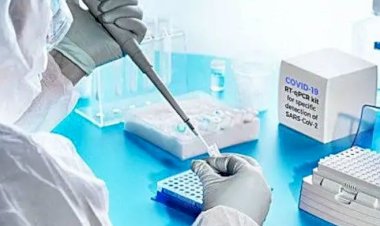 ದೇಶದಲ್ಲಿ ಮತ್ತೆ ಏರು ಕ್ರಮಾಂಕದಲ್ಲಿ ಕೋವಿಡ್ ಕೇಸ್ : 24 ಗಂಟೆಯಲ್ಲಿ 22,775 ಜನರಲ್ಲಿ ಸೋಂಕು ಪತ್ತೆ