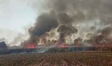 ಕಲಘಟಗಿ: ಆಕಸ್ಮಿಕ ಬೆಂಕಿ ತಗುಲಿ 80 ಎಕರೆ ಕಬ್ಬು ಬೆಳೆ ಹಾನಿ