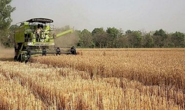 ಗೋಧಿ ರಫ್ತು ನಿಷೇಧಿಸಿದ ಭಾರತ