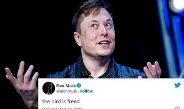 ಪಕ್ಷಿಯು ಈಗ ಮುಕ್ತವಾಗಿದೆ ಎಂದ ಎಲಾನ್ ಮಸ್ಕ್