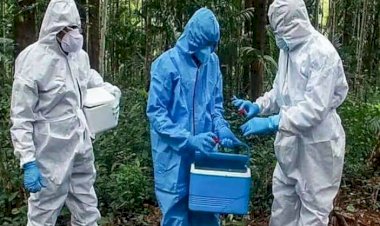 ಕೇರಳದಲ್ಲಿ 24 ವರ್ಷದ ಆರೋಗ್ಯ ಕಾರ್ಯಕರ್ತನಿಗೆ ನಿಫಾ ವೈರಸ್ ಸೋಂಕು ದೃಢ