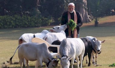 ನವದೆಹಲಿ : ಗೋವುಗಳೊಂದಿಗೆ ಸಂಕ್ರಾಂತಿ ಹಬ್ಬ ಆಚರಿಸಿದ ಪ್ರಧಾನಿ ಮೋದಿ