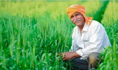 ಕುಂದಗೋಳ : ಕೃಷಿ ಇಲಾಖೆಯಲ್ಲಿ ವಿವಿಧ ಸೌಲಭ್ಯ - ಅರ್ಜಿಗೆ ನವೆಂಬರ್ 30 ಕೊನೆಯ ದಿನ