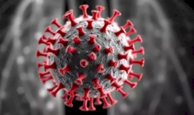 BREAKING: ಮಗುವಿನಲ್ಲಿ HMPV ವೈರಸ್ ಪತ್ತೆ