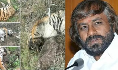 5 ಹುಲಿಗಳ ಸಾವು ಪ್ರಕರಣ - ಡಿಸಿಎಫ್ ಚಕ್ರಪಾಣಿ ಸೇರಿ 3 ಅಧಿಕಾರಿಗಳ ಅಮಾನತಿಗೆ ಈಶ್ವರ್ ಖಂಡ್ರೆ ಶಿಫಾರಸು