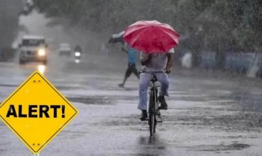 ಮುಂಗಾರು ಪ್ರಬಲ: ಭಾರಿ ಮಳೆ ಸಾಧ್ಯತೆಯ ಹಿನ್ನೆಲೆ 12 ಜಿಲ್ಲೆಗಳಲ್ಲಿ ಯೆಲ್ಲೋ ಅಲರ್ಟ್‌!