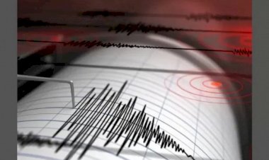 ಮಹಾರಾಷ್ಟ್ರದ ಹಿಂಗೋಲಿ ಜಿಲ್ಲೆಯಲ್ಲಿ ಭೂಕಂಪನದ ಅನುಭವ - 3.5 ತೀವ್ರತೆ ದಾಖಲು