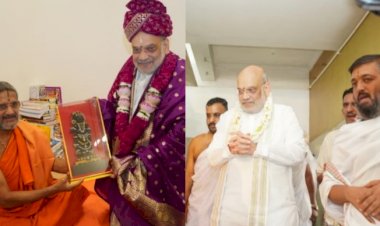 Amit Shah visits Pejawar temple