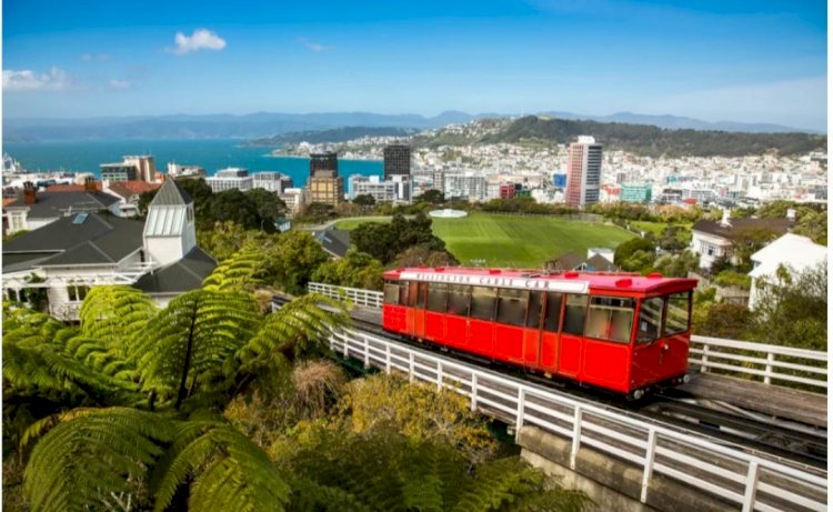 ಮಾರಕ ಕೊರೊನಾ ಸೋಂಕಿನಿಂದ ನ್ಯೂಜಿಲೆಂಡ್ ಮುಕ್ತ: ಎಲ್ಲ ನಿರ್ಬಂಧಗಳನ್ನು ರದ್ದುಗೊಳಿಸಿದ ಸರ್ಕಾರ