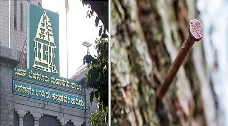 ಇನ್ಮುಂದೆ ಬೆಂಗಳೂರಿನ ಮರಗಳಿಗೆ ಮೊಳೆ ಹೊಡೆಯುವಂತಿಲ್ಲ: ಬಿಬಿಎಂಪಿ ಆದೇಶ