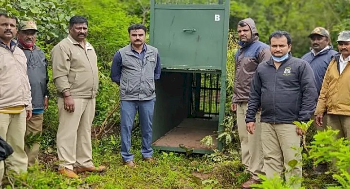 ಚಿರತೆ ಕಾರ್ಯಾಚರಣೆ: ಭೌತಿಕ ಬದಲಿಗೆ ಆನಲೈನ್ ಕ್ಲಾಸ್ ಮಾತ್ರ ನಡೆಯುತ್ತವೆ: ಡಿಸಿ