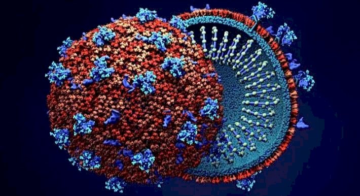 ದ.ಆಫ್ರಿಕಾದಿಂದ ಬೆಂಗಳೂರಿಗೆ ಬಂದ ಇಬ್ಬರಿಗೆ ಕೋವಿಡ್ ದೃಢ