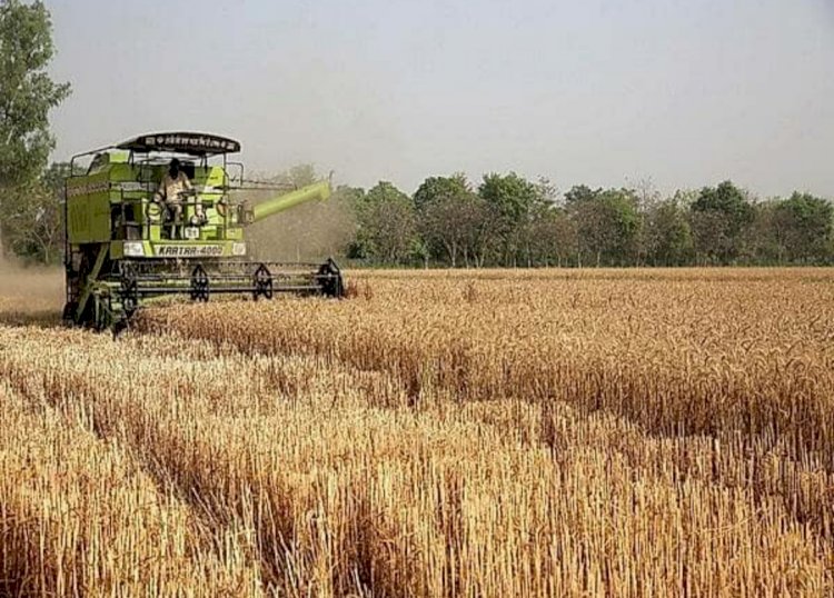 ಗೋಧಿ ರಫ್ತು ನಿಷೇಧಿಸಿದ ಭಾರತ
