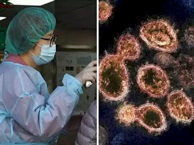 Langya Virus: ಚೀನಾದಲ್ಲಿ ಮತ್ತೊಂದು ವೈರಸ್ ಭೀತಿ: ಏನಿದು ಲಾಂಗ್ಯಾ ವೈರಸ್? ಇದರ ಲಕ್ಷಣಗಳೇನು?