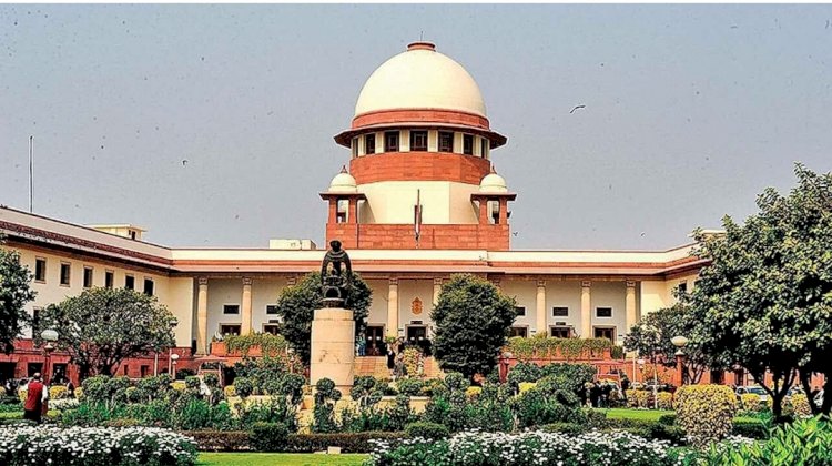 ಬೀದಿ ನಾಯಿ ಕಚ್ಚಿದರೆ ಊಟ ಹಾಕಿದವರೇ ಜವಾಬ್ದಾರರು: ಸುಪ್ರೀಂ ಕೋರ್ಟ್