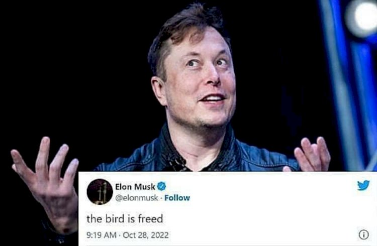 ಪಕ್ಷಿಯು ಈಗ ಮುಕ್ತವಾಗಿದೆ ಎಂದ ಎಲಾನ್ ಮಸ್ಕ್
