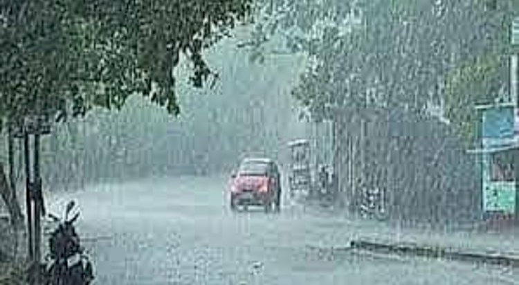 ನವದೆಹಲಿ: ಕೇರಳ, ತಮಿಳುನಾಡಿನಲ್ಲಿ ಭಾರೀ ಮಳೆ ಸಾಧ್ಯತೆ ಯೆಲ್ಲೋ ಅಲರ್ಟ್​ ಘೋಷಣೆ