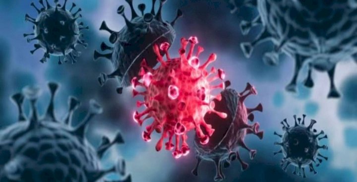 ಕೋವಿಡ್‌: ಸಕ್ರಿಯ ಪ್ರಕರಣಗಳ ಸಂಖ್ಯೆ 6,559ಕ್ಕೆ ಏರಿಕೆ