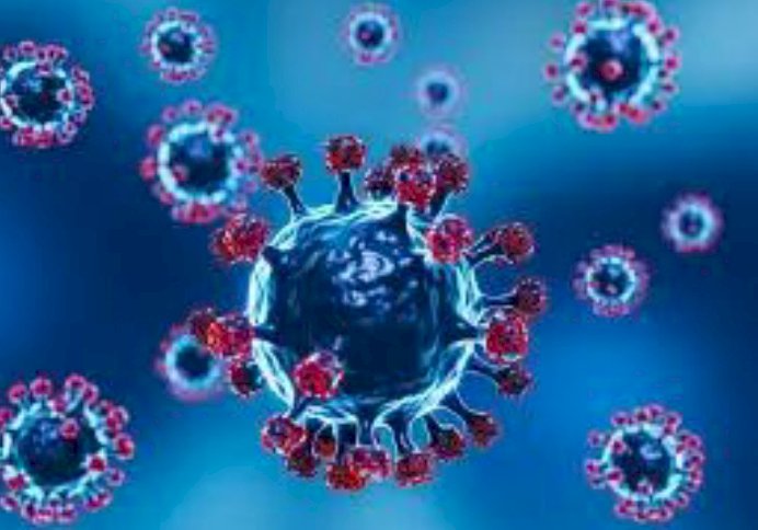 ಹಾಸನ : ಜಿಲ್ಲೆಯಲ್ಲಿ ಮತ್ತೆ ನಾಲ್ವರಲ್ಲಿ ಜೆಎನ್1 ಸೋಂಕು