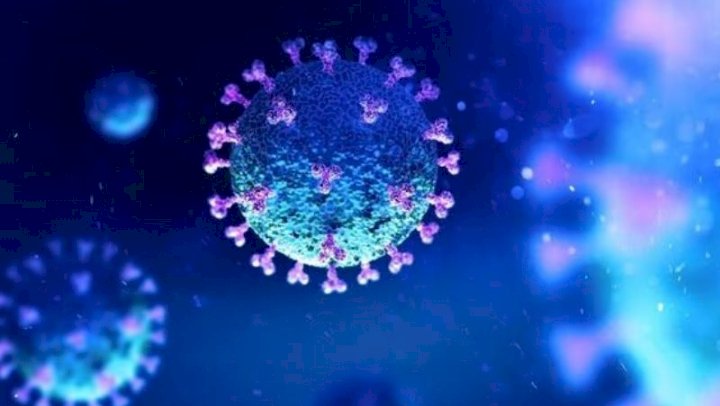 ರಾಯಚೂರಿನಲ್ಲಿ ಇಬ್ಬರಲ್ಲಿ ಕೋವಿಡ್ ಸೋಂಕು ಪತ್ತೆ