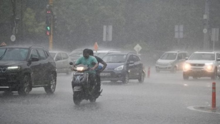 Rainfall alert: ಅರಬ್ಬಿ ಸಮುದ್ರದಲ್ಲಿ ವಾಯಭಾರ ಕುಸಿತ; ರಾಜ್ಯದ ಈ ಜಿಲ್ಲೆಗಳಲ್ಲಿ ಭಾರೀ ಮಳೆ ಬೀಳುವ ಎಚ್ಚರಿಕೆ